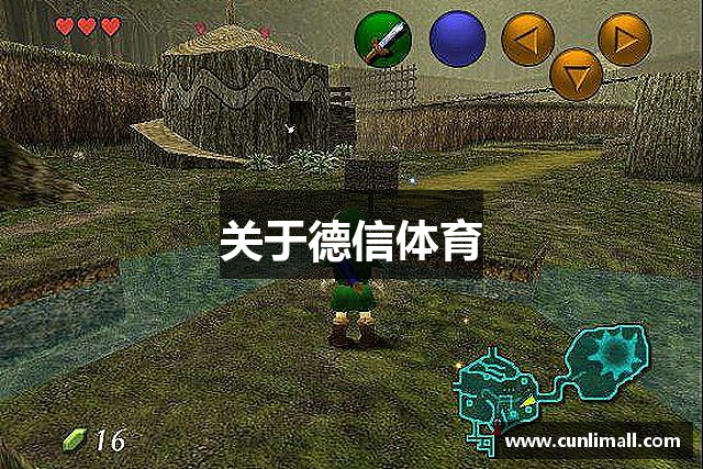 关于德信体育